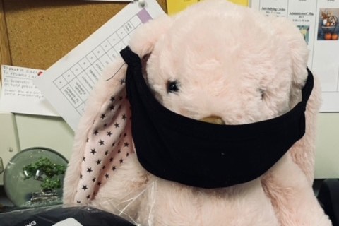 bunny wearing mask