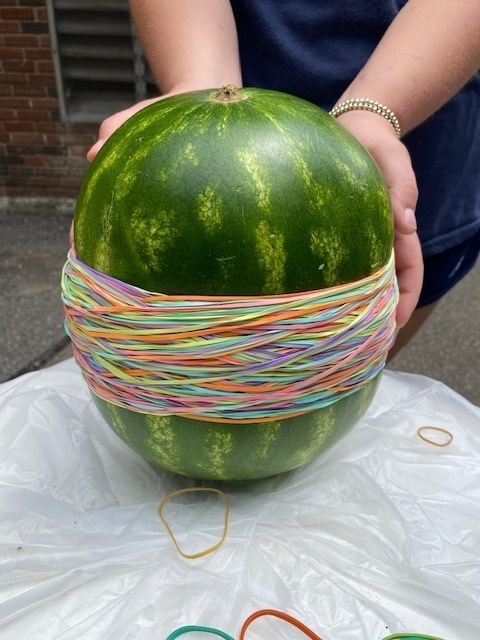 watermelon wrapped in rubber bands