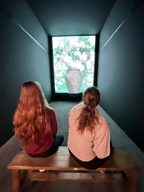 two girls viewing 3-D painting
