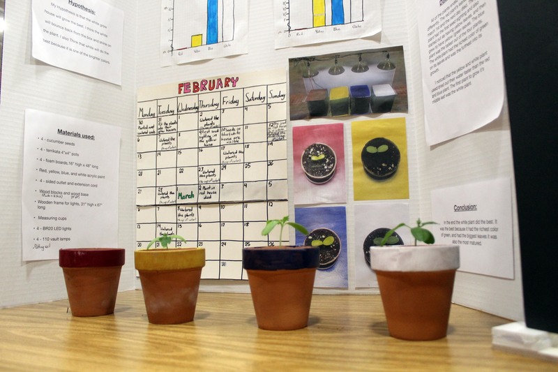 at science fair project about growing plants