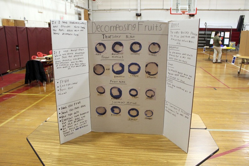 Science fair project about decomposing fruits