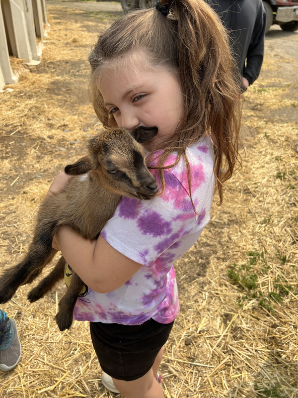 girl holding baby goat
