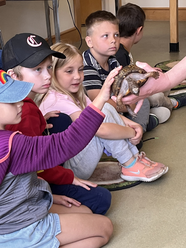 students petting turtle