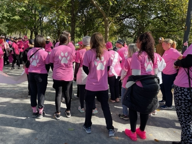 staff members wearing pink shirts with paw prints walking in park